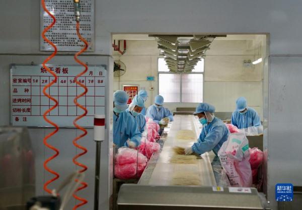 小粉丝走俏海外大市场 小粉丝走俏海外大市场