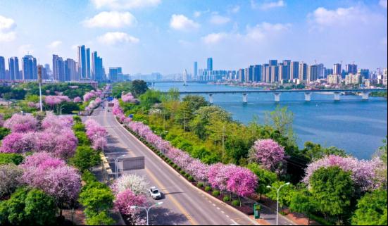 “反向旅游”柳州赢麻了！网友评价：真诚零套路！一生总要为它停留一次