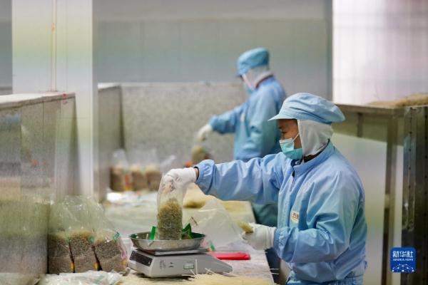 小粉丝走俏海外大市场 小粉丝走俏海外大市场