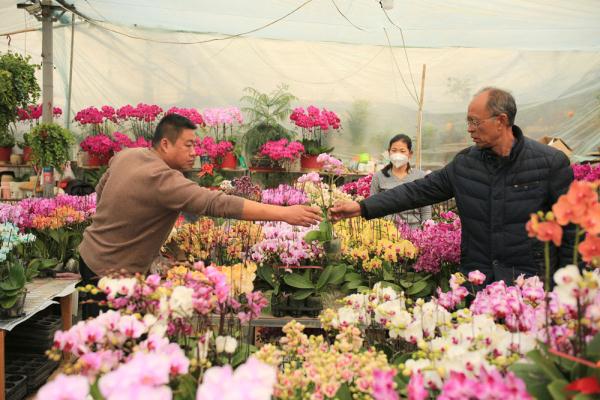 河北邢台邢东新区：花卉饰品受青睐