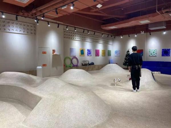 “普通大床房”378元一晚！春节宠物寄养火爆