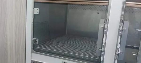 “普通大床房”378元一晚！春节宠物寄养火爆