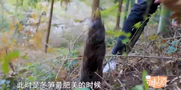 新岁将至讨口彩！团圆饭必吃的这道菜，你家年夜饭安排上了吗？