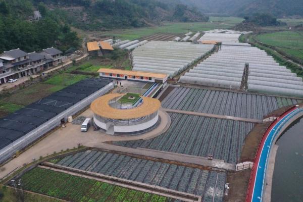 宜宾市筠连县春风村：老典型的新时代奋斗密码