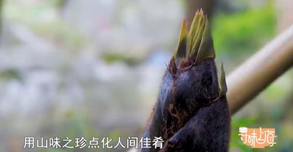 新岁将至讨口彩！团圆饭必吃的这道菜，你家年夜饭安排上了吗？