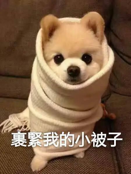 狂跌9℃！寒潮预警继续！@厦门人，请准备好厚衣服……