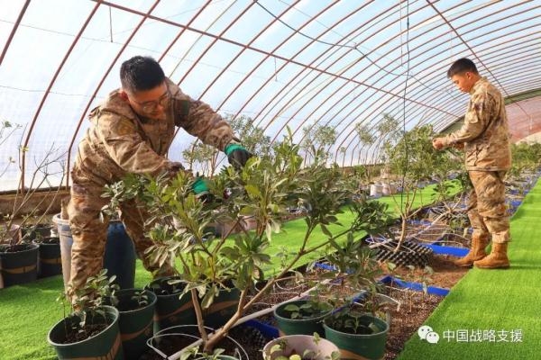 你相信吗？戈壁滩上长出了草莓、火龙果、柑橘……