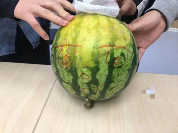 水果：“你礼貌吗？”