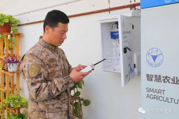 你相信吗？戈壁滩上长出了草莓、火龙果、柑橘……