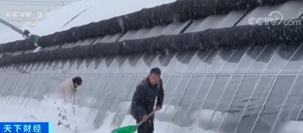 新疆积极应对强冷空气 确保农牧业安全生产