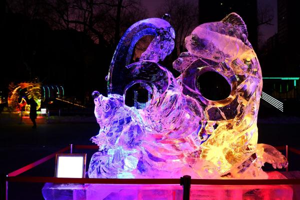 哈尔滨：冰灯流光溢彩醉游人