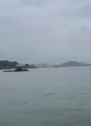 事发鼓浪屿！三名女游客紧急报警……