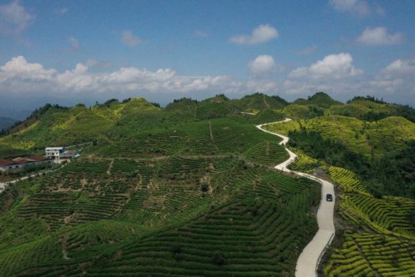 宜宾市筠连县春风村：老典型的新时代奋斗密码