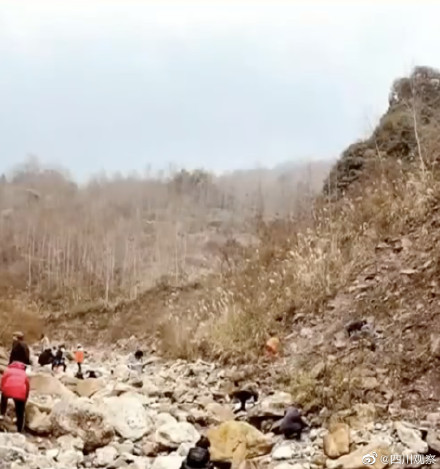 成都一山沟现大量化石