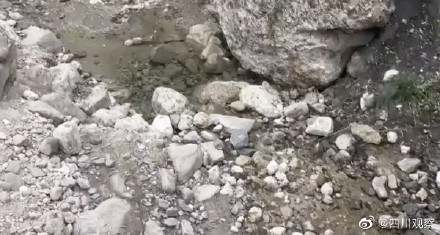 成都一山沟现大量化石