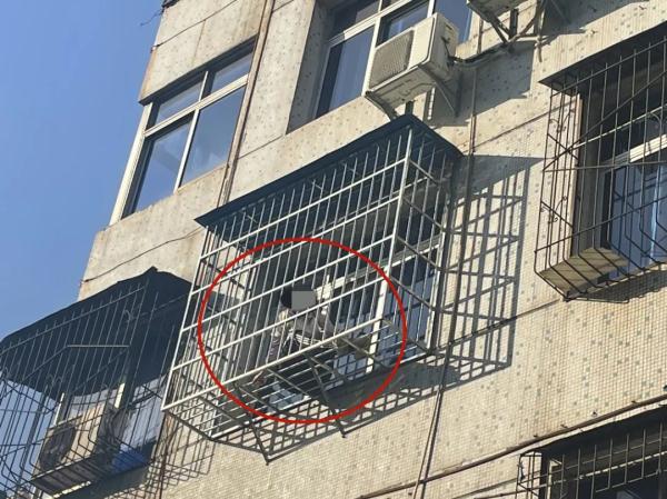 被困窗外求助全靠喊 民警循声破门“秒”救人
