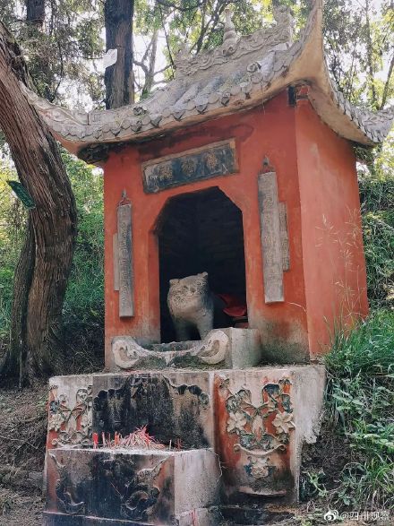 中国奇谭里的小猫庙原型找到了