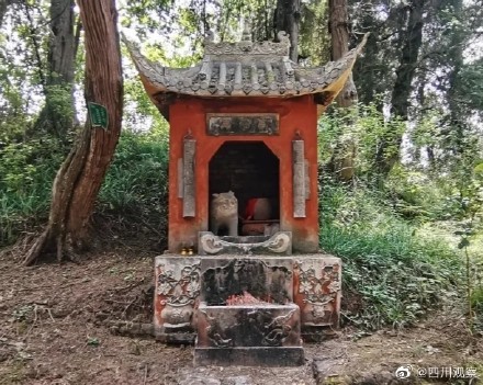 中国奇谭里的小猫庙原型找到了