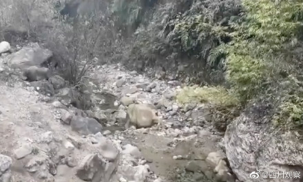 成都一山沟现大量化石