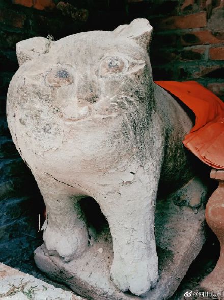 中国奇谭里的小猫庙原型找到了
