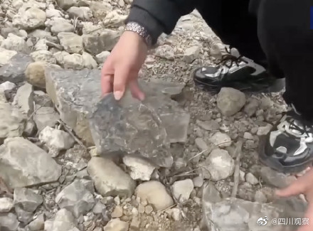 成都一山沟现大量化石