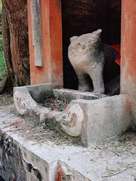 中国奇谭里的小猫庙原型找到了