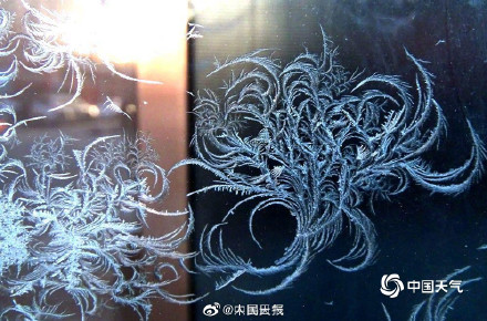 惊艳！哈尔滨冰窗花有多美