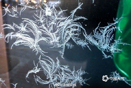 惊艳！哈尔滨冰窗花有多美