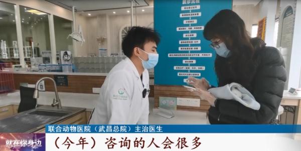这种宠物今年火了！专家提醒：这种喂法并不对