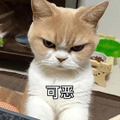 春运购票，小心这些套路！