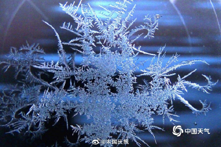 惊艳！哈尔滨冰窗花有多美