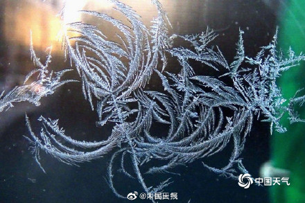 惊艳！哈尔滨冰窗花有多美