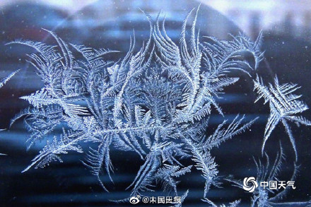 惊艳！哈尔滨冰窗花有多美
