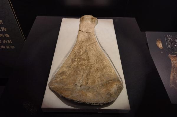 甲骨、简牍、敦煌遗书、明清档案等珍贵文物在国家典籍博物馆集中亮相