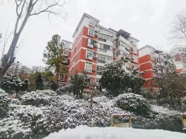 荆州雪景图片图片