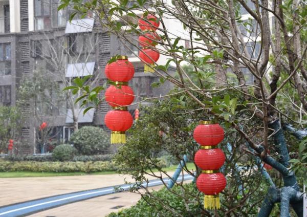 瑞雪兆丰年，江西下雪啦！