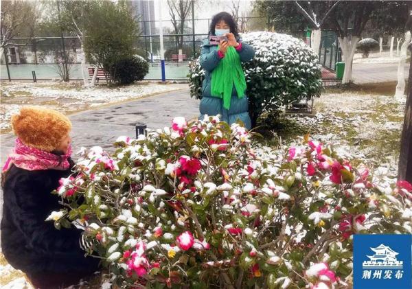 下雪了！荆州的雪景真美