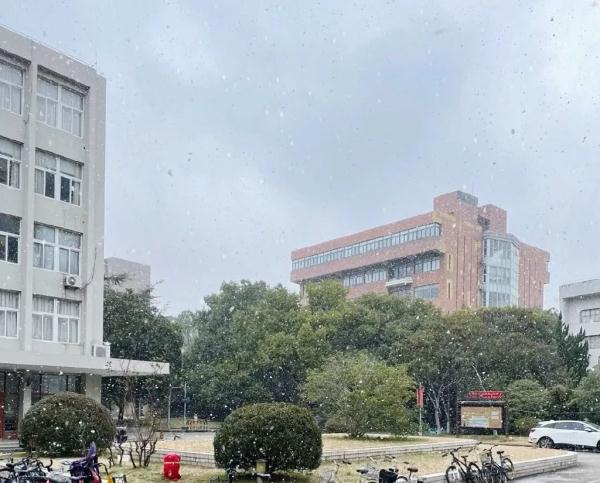 上海2023年的第一场雪，从“头皮屑”下成了“棉花糖”，你被雪景刷屏了吗？