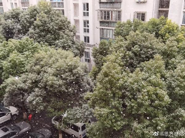 上海2023年的第一场雪，从“头皮屑”下成了“棉花糖”，你被雪景刷屏了吗？