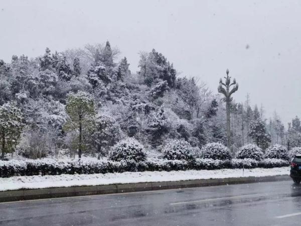 下雪啦！四川多地加入下雪群聊，你那下了没？
