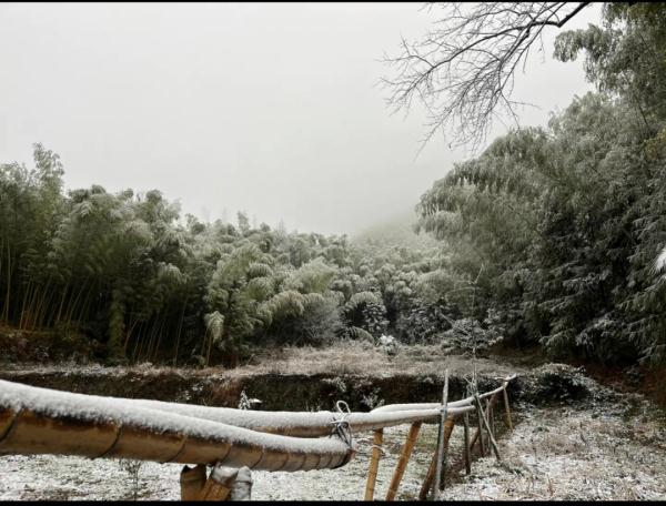 刚刚！江西多地下雪！