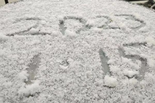 上海2023年的第一场雪，从“头皮屑”下成了“棉花糖”，你被雪景刷屏了吗？