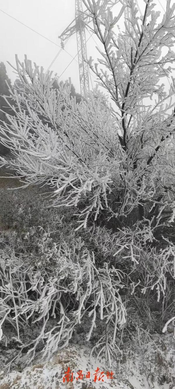 瑞雪兆丰年，江西下雪啦！