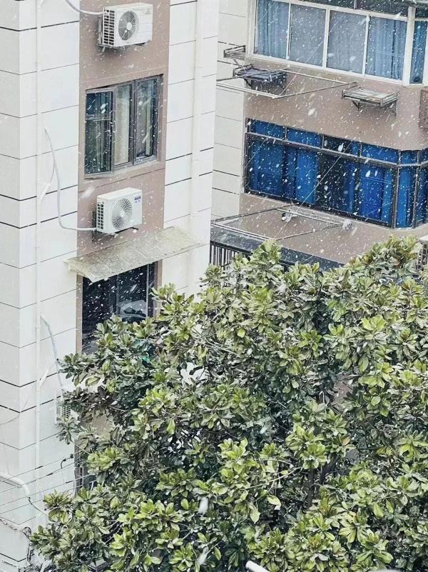 2023年上海初雪来了！