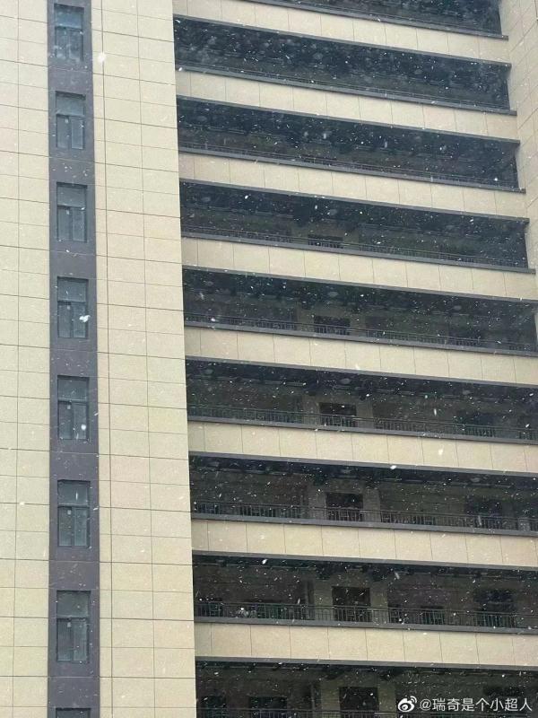 快看！上海下雪了！不再是“头皮雪”