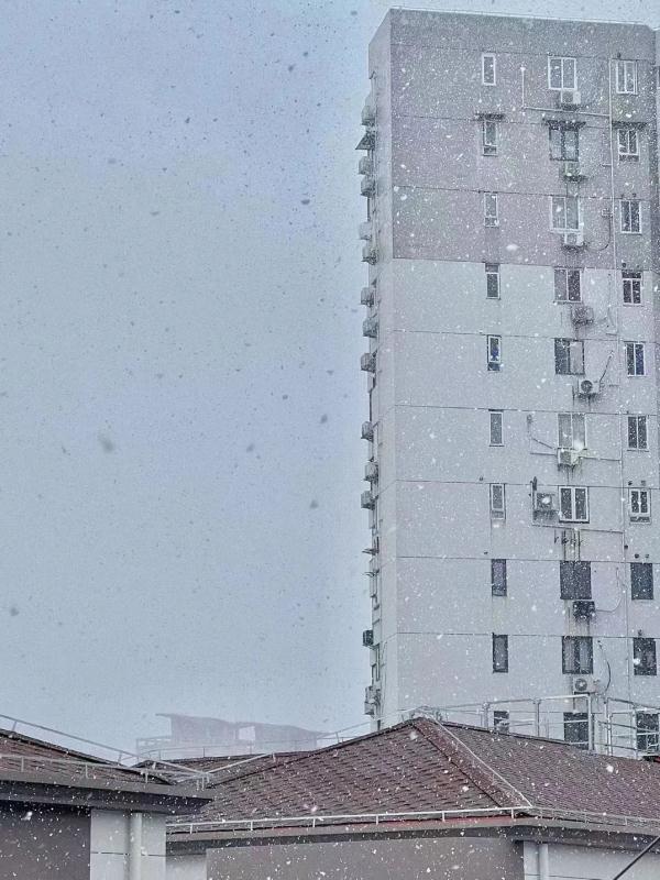 2023年上海初雪来了！