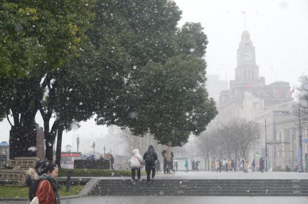 上海2023年的第一场雪，从“头皮屑”下成了“棉花糖”，你被雪景刷屏了吗？