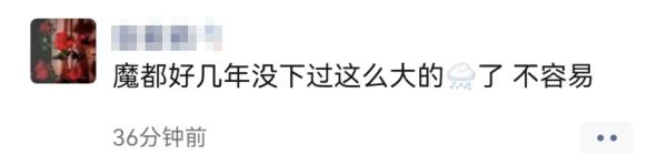 上海2023年的第一场雪，从“头皮屑”下成了“棉花糖”，你被雪景刷屏了吗？