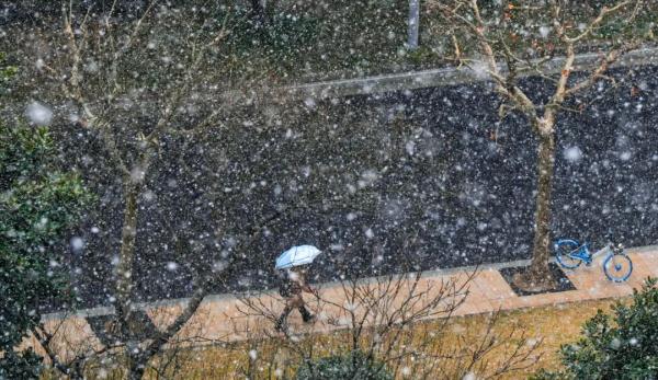 上海2023年的第一场雪，从“头皮屑”下成了“棉花糖”，你被雪景刷屏了吗？