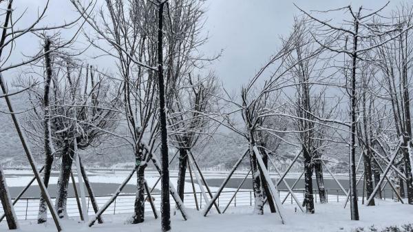 丰都南天湖:瑞雪迎新春 美景眷游人 丰都南天湖:瑞雪迎新春 美景眷游人